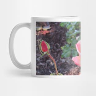 Pink Rose & Bud Mug